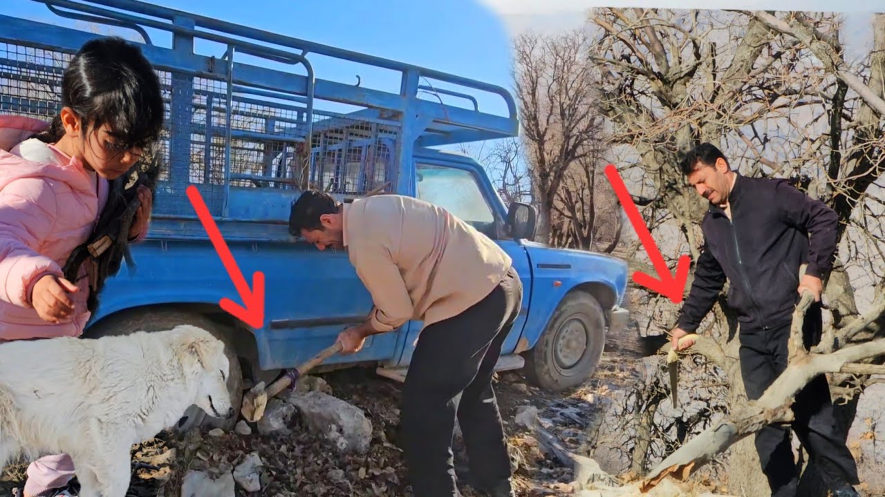 They Could Have Died on That Mountain… Ali’s Desperate Fight to Keep His Children Warm