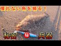 ポイントの見切り！ランガンサーフでヒラメを探せ！