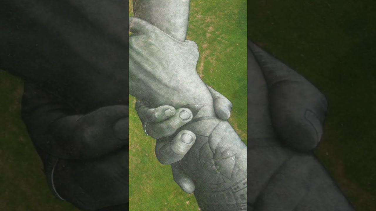 Beyond Walls de l'Artiste Saype vu du ciel #Shorts