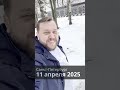 Снег в апреле? Белые снежинки снова с нами ❄️ #shorts