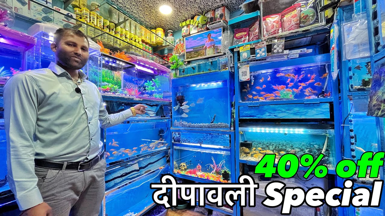 Deepak Fish Aquarium Exotic Fish Fish Shop Fish Aquarium Shop In