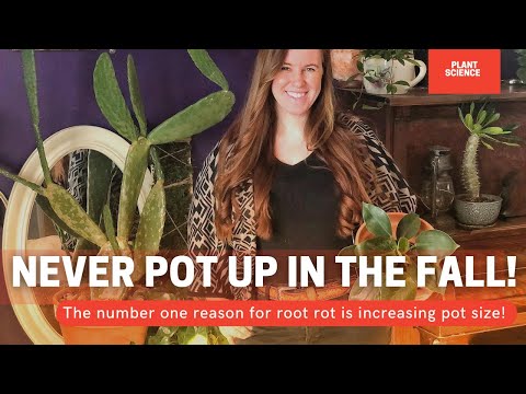 Can You Repot Into A Smaller Container? Should You Repot In The Fall? | Soil Scientist Explains 🌿