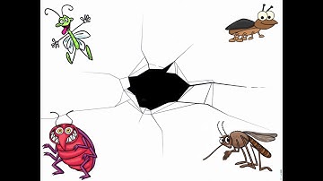 SC19 Tutorial Preview: Secure Coding Practices and Automated Assessment Tools