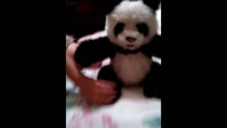 Eathan and his talking panda bear screenshot 4