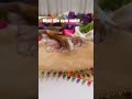 renkli zarif iğne oyası modeli 🎉