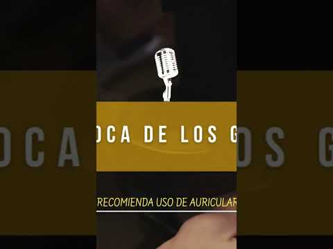 馃幇Casino online Argentina para ganar dinero real 馃隆Juego loco en Hot Fiesta!