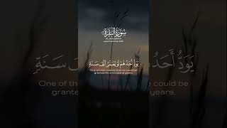 ولتجدنهم أحرص الناس على حياة ومن الذين أشركوا يود أحدهم لو يعمر ألف سنة | السديس