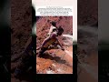 How Water Pressure Turns Earth into Gold #usa #shorts