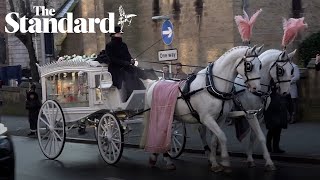 ‘Beautiful warrior’ Indi Gregory’s funeral held in Nottingham
