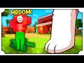 I MIEI AMICI SI NASCONDONO DISEGNANDOSI NEL MONDO DI MINECRAFT SU MECCHA CHAMELEON