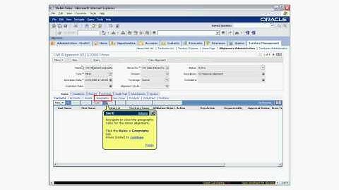 Siebel Territory Management - Minor Alignments