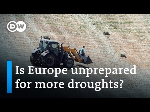 Extreme summer droughts: A major threat to Europe's economy this year? | DW News