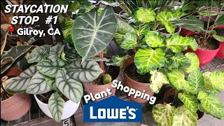 🌿🛒GILROY CA plant shopping #1 ! @lowes
