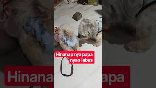 ng antay cxa sa papa nya matagal dw ng antay cxa sa papa nya matagal dw