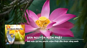 Bất luận tội hay phước niệm Phật đều được vãng sanh 