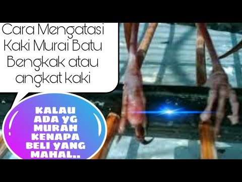 Video: Home Remedies Untuk Kaki Bengkak: 10 Perawatan Yang Berhasil