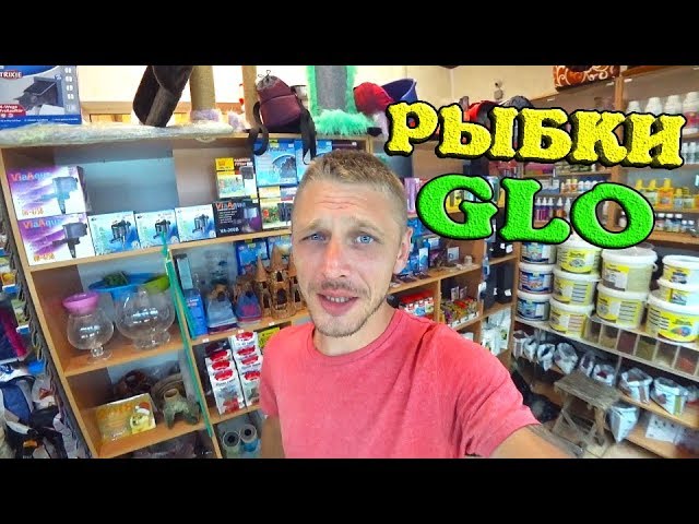 РАСПАКОВКА НОВЫХ РЫБОК GLO!!!