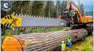 199 Incredible Fastest Big Chainsaw Cutting Tree Machines ▶13