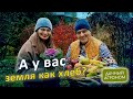 ПОШАГОВО Сделай ЛЮБУЮ почву как ХЛЕБ Дачный агроном