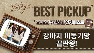 강아지 이동가방 꿀템 리뷰! 슬링백, 백팩, 앞가방 비교 (리토가토 외)