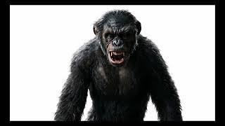 Koba Sound Effects (SFX)