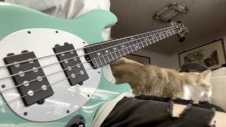 Loathe | New Faces In The Dark (Bass cover)