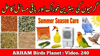 Summer Season Feed & Care of Australian Parrots (Garmi ki Khurak) in Urdu By |Arham|., Video. 240