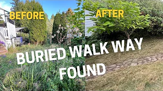 The Home Owner Died And Her Property Fell Into Disrepair Until I Stepped In To Help