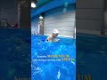 Breaststroke: Recover ABOVE the Water for SPEED #swimming #swim #shorts