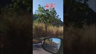 RODOVIA GO-118, ENTRE TERESINA DE GOIÁS E MONTE ALEGRE DE GOIÁS #chapadadosveadeiros