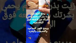 فوائد السمسم وزيت السمسم فوائد_السمسم shorts youtube