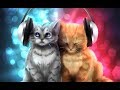 2 песни которые пели котята