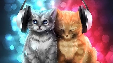 2 песни которые пели котята