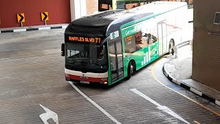 (Starhub 5G Full Body Advertisement) SMB232H(BUDEP) On Service 77 At Bukit Batok Interchange 