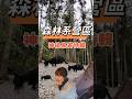 神祕嘉賓現身!幫辰寶妹妹「小胖」過生日🎂 沒想到森林露營也能這麼浪漫?