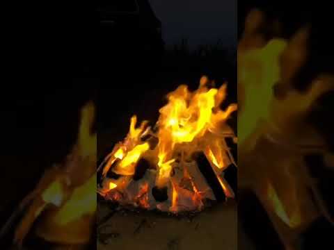 انا ذبحني بالهوى صاحبن لي