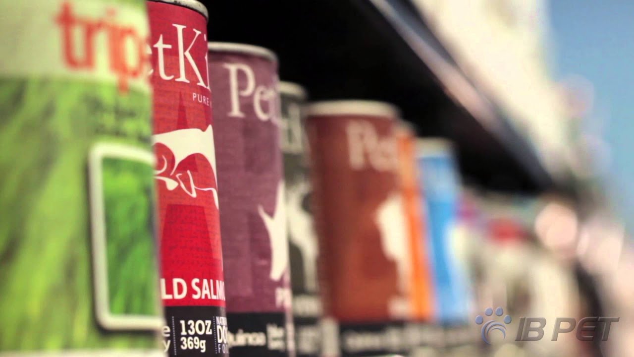 IB Pet A Look Inside Our Store YouTube