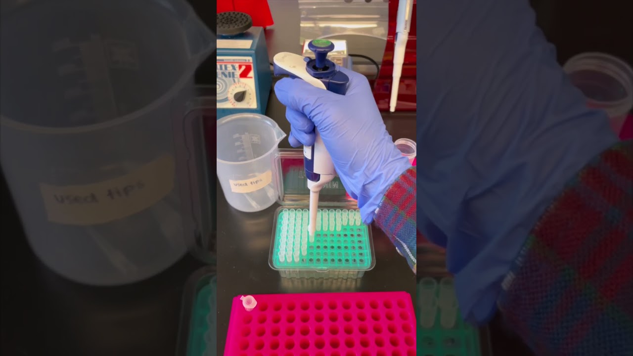 Ever wondered how to use a micropipette?