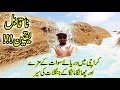 THADO / THADDO DAM| BEST PICNIC & FISHING SPOT IN KARACHI ?| UNBELIEVABLE HIDDEN BEAUTY OF KARACHI