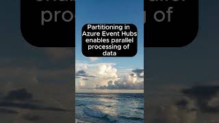 Celebrity What is the purpose of Event Hubs' partitioning, and how does it work? Net Worth