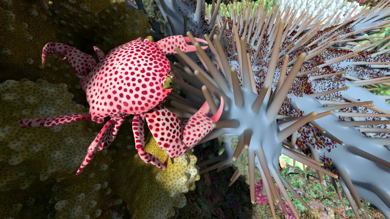 What Animals Live in a Coral Reef? | California Academy of Sciences -  YouTube
