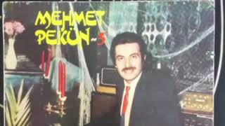 Mehmet Pekün Anca Gidersin