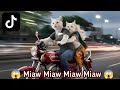 Miaw Miaw Miaw Miaw Song Sad Cat Ride Bike 🙀