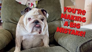 Reuben the Bulldog: Mistakes Were Made