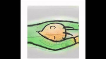 Be Faithful Until His Return - an inspirational video