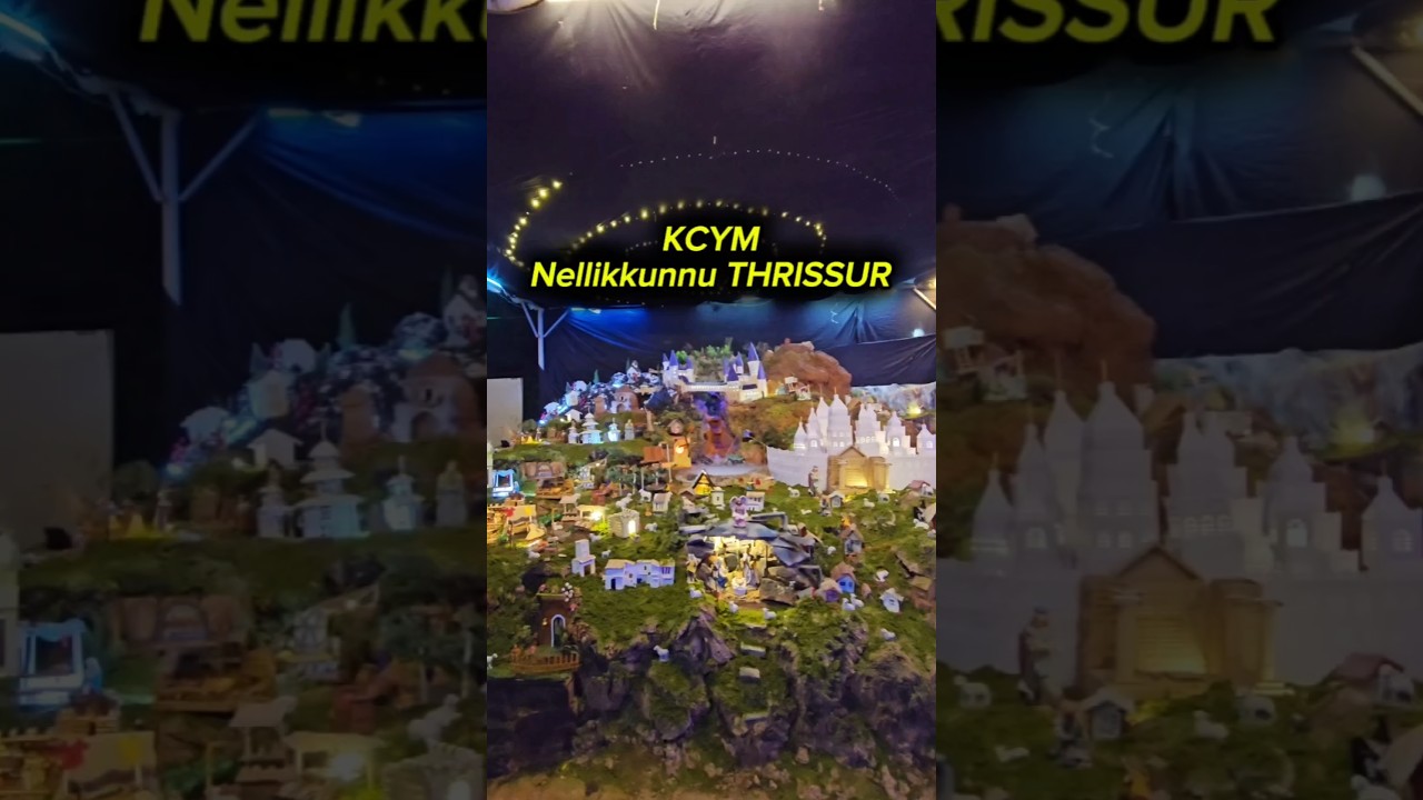 തൃശ്ശൂരിൽ ആരും കാണാത്ത variety പുൽക്കൂട് Location📍: St Sebastian's Church Nellikkunnu 