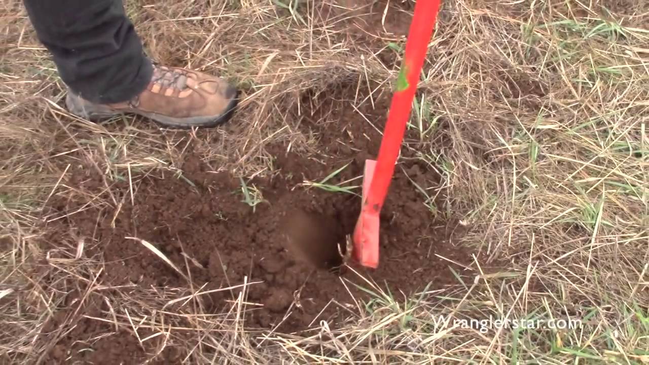 Planting A Homestead Forest | 4 Wranglerstar