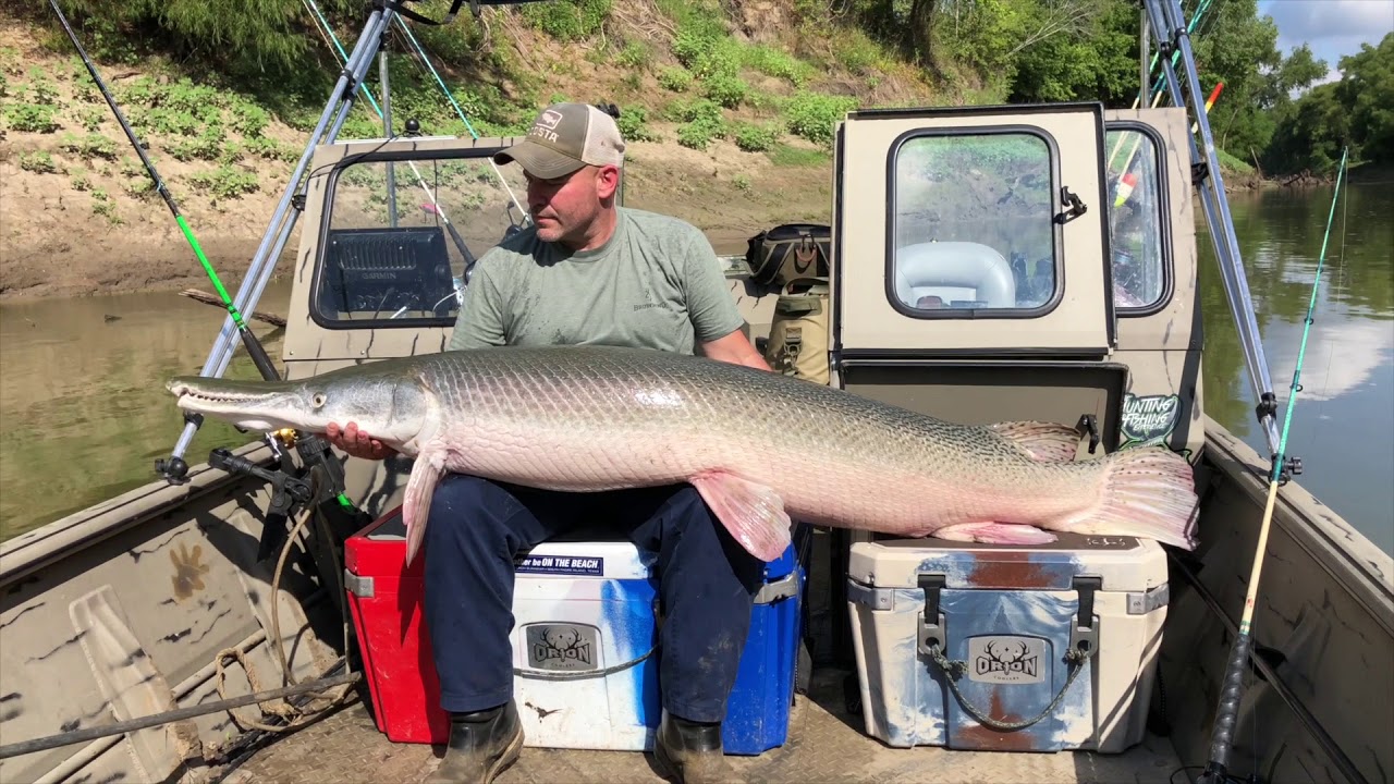 200 pound Alligator gar and 3 more over 140 pounds on a guided trip with  Garzilla Guide Service 