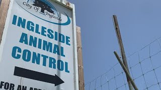 Lease disagreement leads to closure of animal shelter in Ingleside