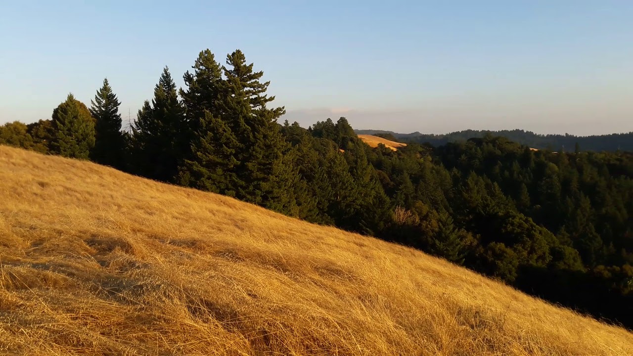 Bike riding in Los Altos CA.(QUICK CLIP)